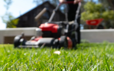 Hello world!